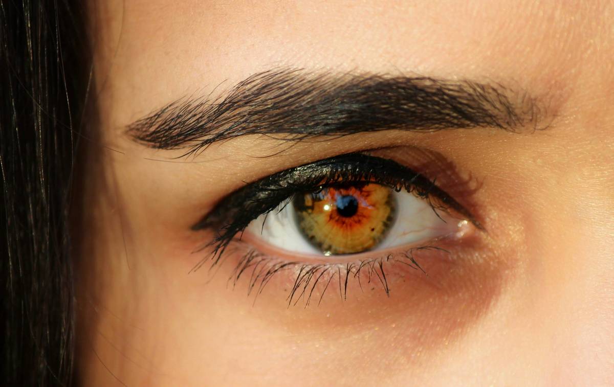 Why Your Eyebrow Grooming Tint Fades in 2 Days (And How to Make It Last a Week)